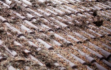 Blackditch roof cleaning companies