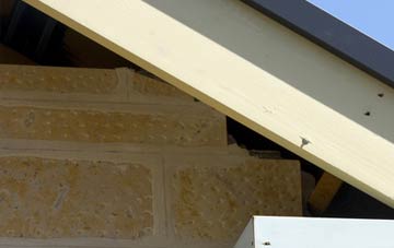 soffit repair Blackditch