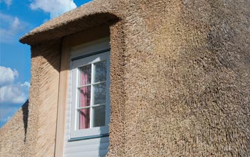 Blackditch thatch roof disadvantages