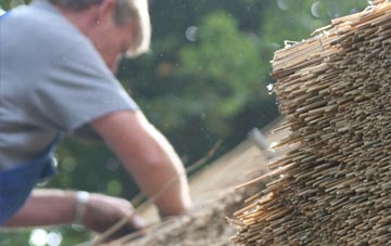 professional Blackditch thatchers